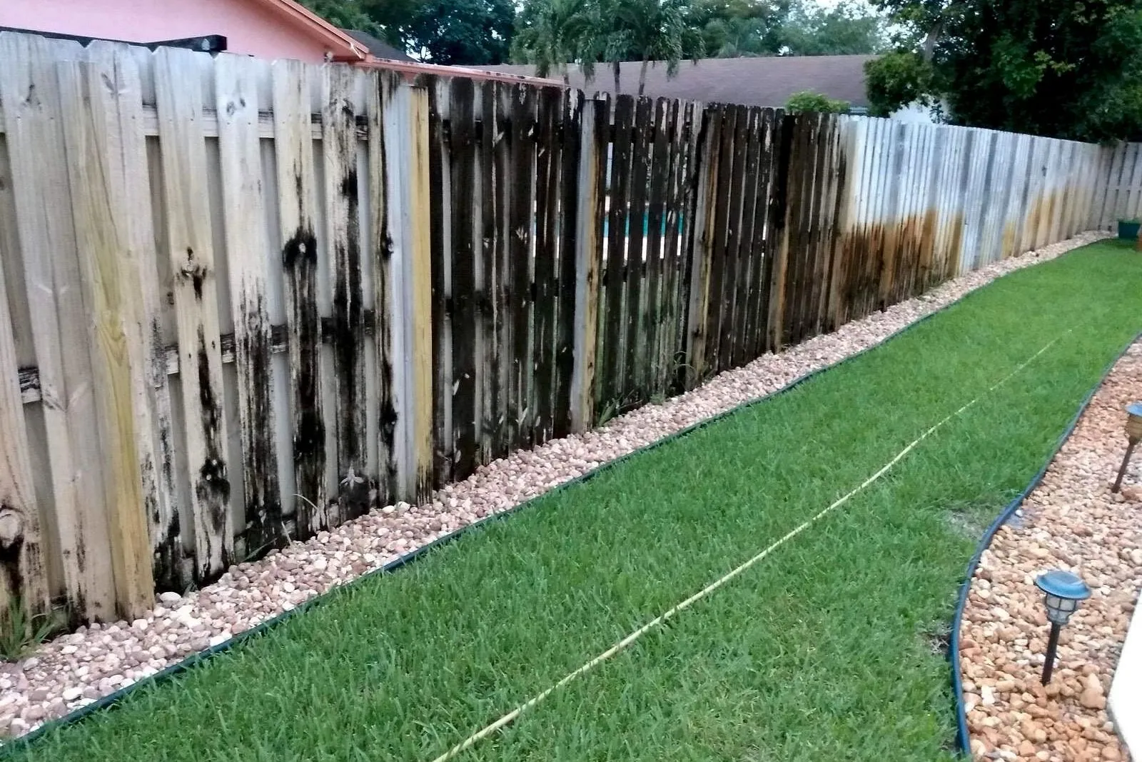 A wood fence black with mildew before and after cleaning — before