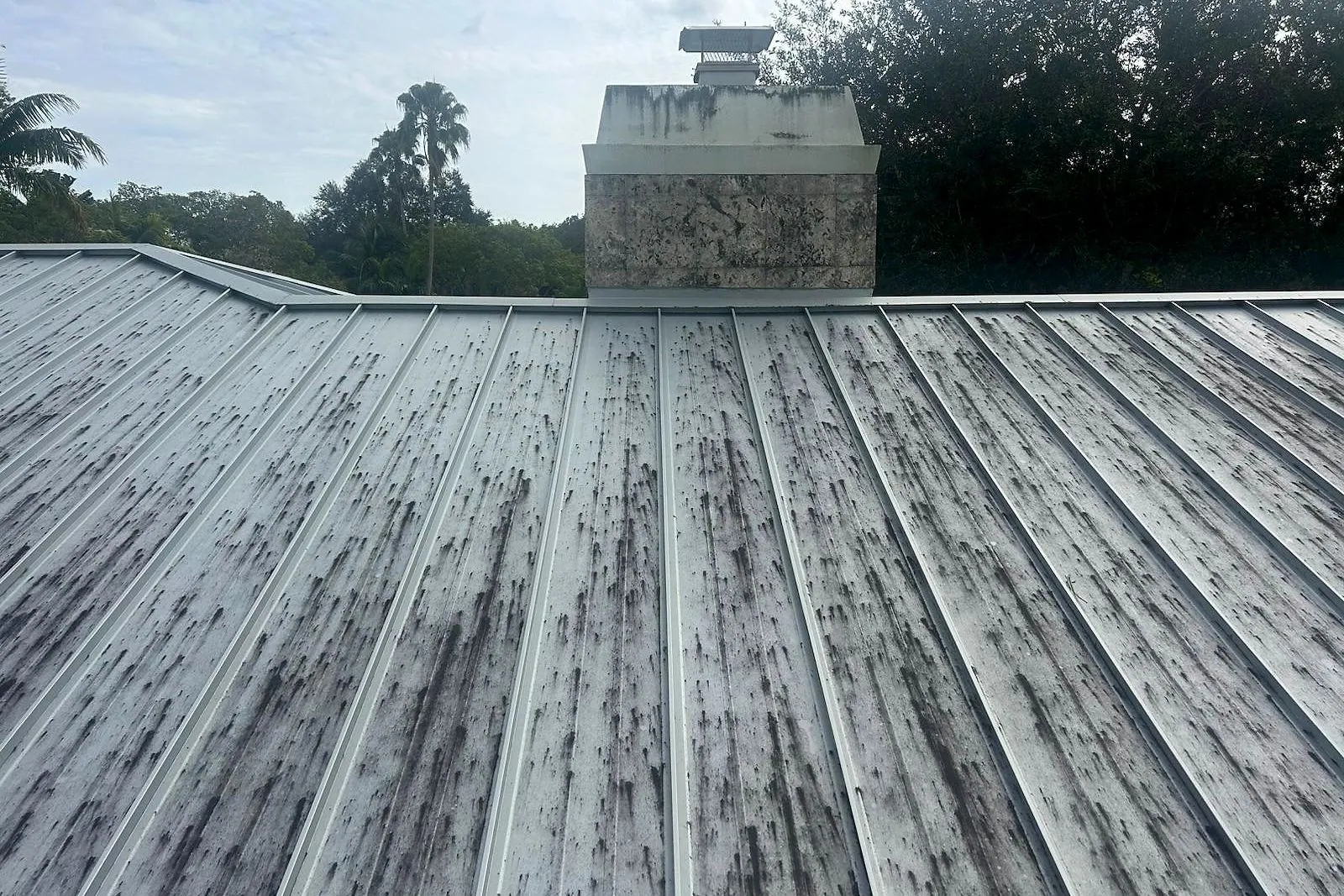 A standing seam metal roof and chimney before and after cleaning — before