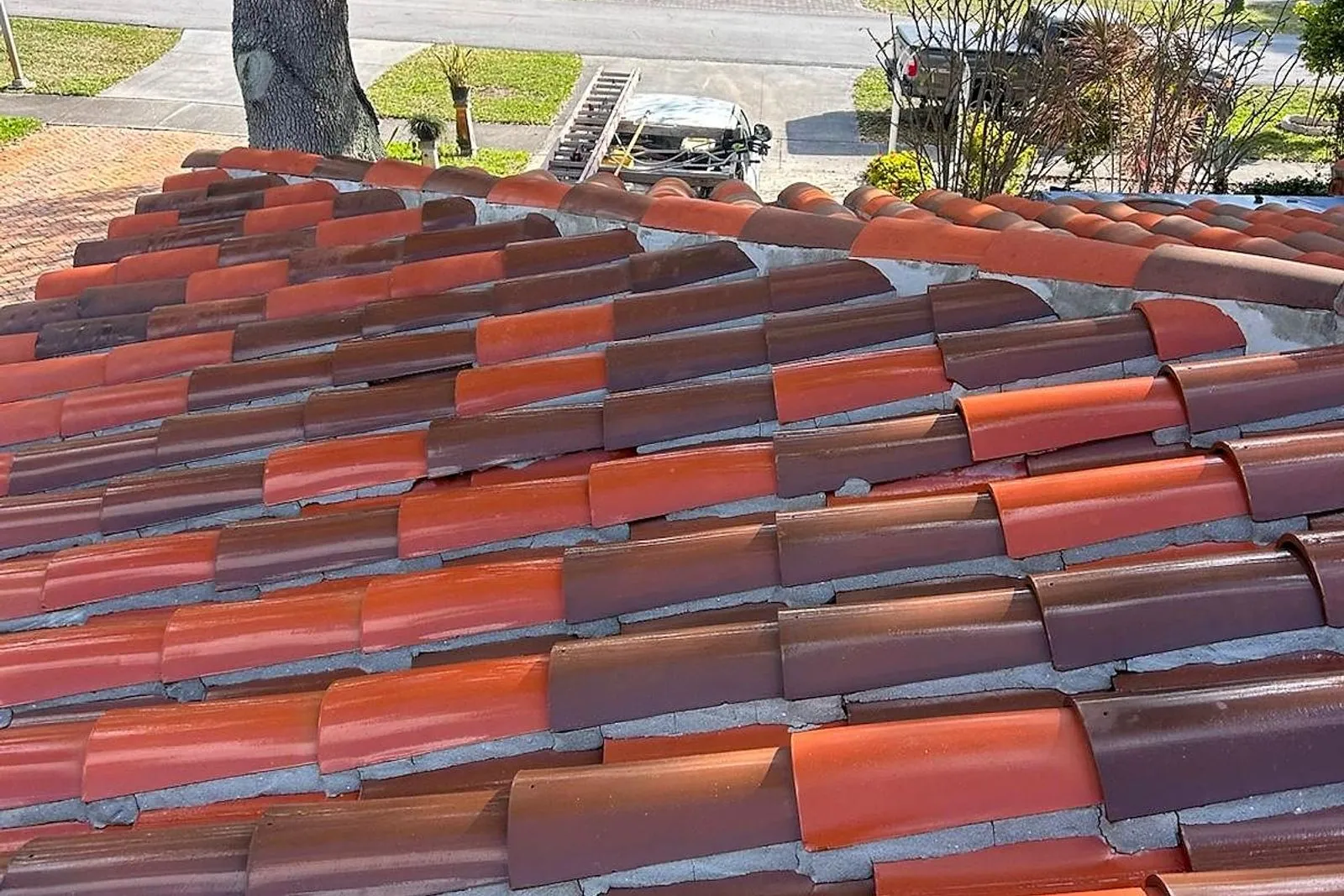 A barrel tile roof under oak trees before and after cleaning — after